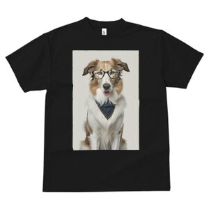 {[_[R[ TVc  j[NfUCfB[X t@  t vg JWA 킢 lԗp Mtg I Kl {[_[R[ o_i