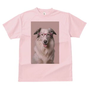 {[_[R[ TVc  j[NfUCY LbY t@  t vg JWA 킢 lԗp Mtg I Kl {[_[R[