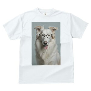 {[_[R[ TVc  j[NfUCfB[X t@  t vg JWA 킢 lԗp Mtg I Kl {[_[R[