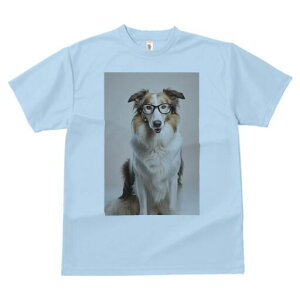 R[ TVc  j[NfUCY LbY t@  t vg JWA 킢 lԗp Mtg I Kl R[