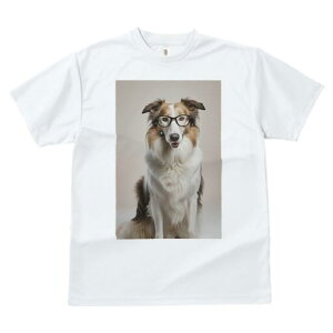 R[ TVc  j[NfUCfB[X t@  t vg JWA 킢 lԗp Mtg I Kl R[