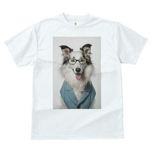 {[_[R[ TVc  j[NfUCfB[X t@  t vg JWA 킢 lԗp Mtg I Kl {[_[R[ WPbg