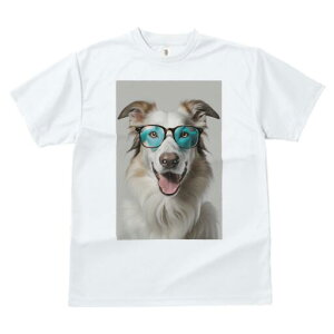 {[_[R[ TVc  j[NfUCfB[X t@  t vg JWA 킢 lԗp Mtg I Kl {[_[R[