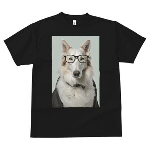 {[_[R[ TVc  j[NfUCfB[X t@  t vg JWA 킢 lԗp Mtg I Kl {[_[R[ 