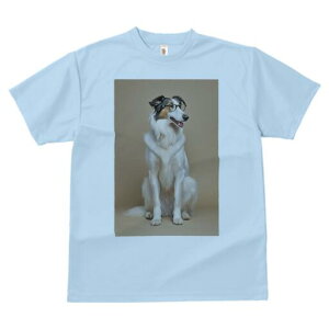 {[_[R[ TVc  j[NfUCY LbY t@  t vg JWA 킢 lԗp Mtg I Kl {[_[R[