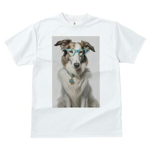 {]C TVc  j[NfUCfB[X t@  t vg JWA 킢 lԗp Mtg I Kl {]C  y_g