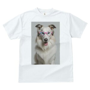 {[_[R[ TVc  j[NfUCY LbY t@  t vg JWA 킢 lԗp Mtg I Kl {[_[R[