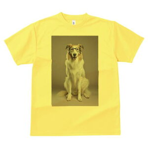 R[ TVc  j[NfUCY LbY t@  t vg JWA 킢 lԗp Mtg I Kl R[