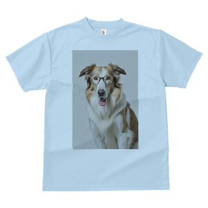 {[_[R[ TVc  j[NfUCY LbY t@  t vg JWA 킢 lԗp Mtg I Kl {[_[R[