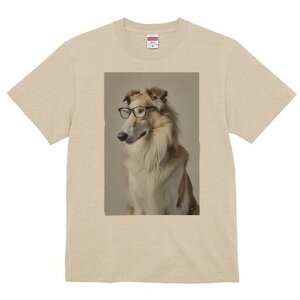 {]C TVc  j[NfUCY LbY t@  t vg JWA 킢 lԗp Mtg I Kl {]C