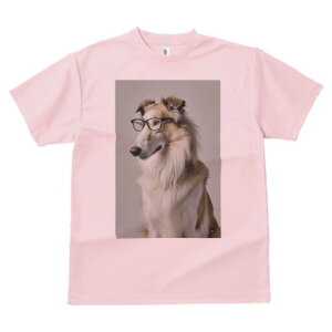 {]C TVc  j[NfUCY LbY t@  t vg JWA 킢 lԗp Mtg I Kl {]C