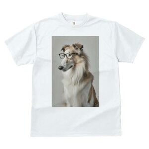 {]C TVc  j[NfUCfB[X t@  t vg JWA 킢 lԗp Mtg I Kl {]C