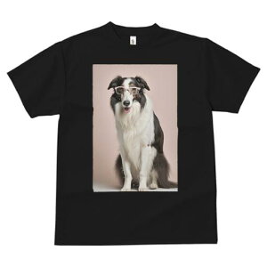 {[_[R[ TVc  j[NfUCfB[X t@  t vg JWA 킢 lԗp Mtg I Kl {[_[R[