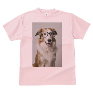 {[_[R[ TVc  j[NfUCY LbY t@  t vg JWA 킢 lԗp Mtg I Kl {[_[R[