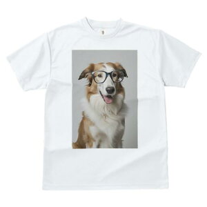 {[_[R[ TVc  j[NfUCfB[X t@  t vg JWA 킢 lԗp Mtg I Kl {[_[R[