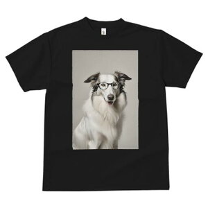 {[_[R[ TVc  j[NfUCfB[X t@  t vg JWA 킢 lԗp Mtg I Kl {[_[R[