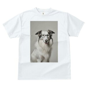 {[_[R[ TVc  j[NfUCY LbY t@  t vg JWA 킢 lԗp Mtg I Kl {[_[R[