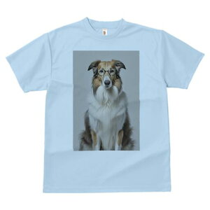 R[ TVc  j[NfUCY LbY t@  t vg JWA 킢 lԗp Mtg I Kl R[