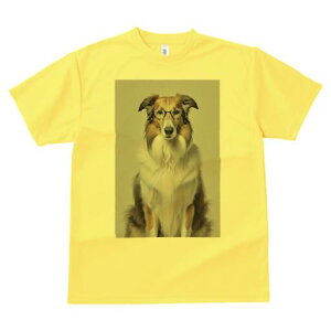 R[ TVc  j[NfUCY LbY t@  t vg JWA 킢 lԗp Mtg I Kl R[