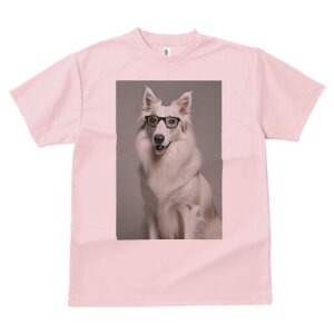 {[_[R[ TVc  j[NfUCY LbY t@  t vg JWA 킢 lԗp Mtg I Kl {[_[R[