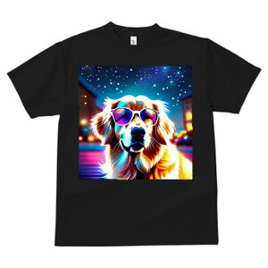 S[fgo[ TVc  j[NfUCfB[X t@  t vg JWA 킢 lԗp Mtg I TOX S[fgo[ 