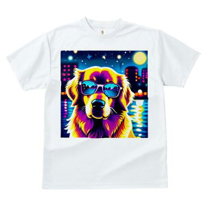 S[fgo[ TVc  j[NfUCfB[X t@  t vg JWA 킢 lԗp Mtg I TOX S[fgo[ i 