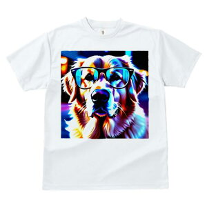 S[fgo[ TVc  j[NfUCfB[X t@  t vg JWA 킢 lԗp Mtg I Kl S[fgo[