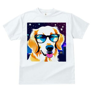 S[fgo[ TVc  j[NfUCfB[X t@  t vg JWA 킢 lԗp Mtg I Kl S[fgo[   s