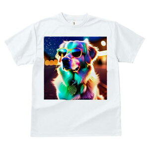 S[fgo[ TVc  j[NfUCfB[X t@  t vg JWA 킢 lԗp Mtg I TOX S[fgo[ i Cg