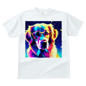 S[fgo[ TVc  j[NfUCfB[X t@  t vg JWA 킢 lԗp Mtg I Kl S[fgo[ 