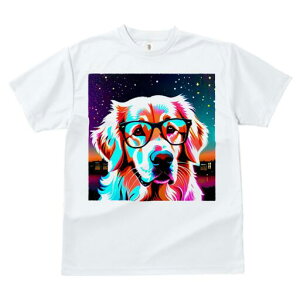 S[fgo[ TVc  j[NfUCfB[X t@  t vg JWA 킢 lԗp Mtg I Kl S[fgo[  i