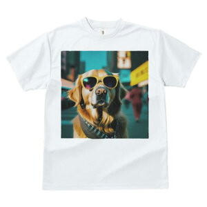 S[fgo[ TVc  j[NfUCfB[X t@  t vg JWA 킢 lԗp Mtg I TOX S[fgo[ XJ[t X