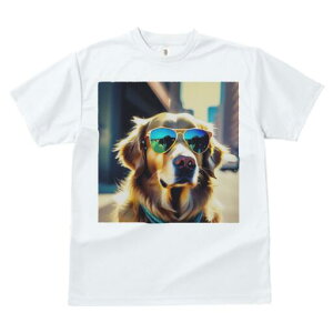 S[fgo[ TVc  j[NfUCfB[X t@  t vg JWA 킢 lԗp Mtg I TOX S[fgo[  t@bV