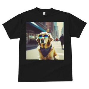 S[fgo[ TVc  j[NfUCfB[X t@  t vg JWA 킢 lԗp Mtg I TOX S[fgo[ o_i X