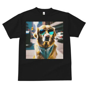 S[fgo[ TVc  j[NfUCfB[X t@  t vg JWA 킢 lԗp Mtg I TOX S[fgo[ X