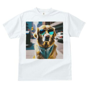 S[fgo[ TVc  j[NfUCfB[X t@  t vg JWA 킢 lԗp Mtg I TOX S[fgo[ X