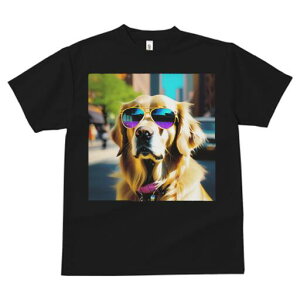 S[fgo[ TVc  j[NfUCfB[X t@  t vg JWA 킢 lԗp Mtg I TOX S[fgo[ s  t@b