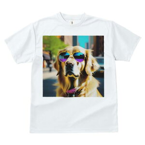 S[fgo[ TVc  j[NfUCfB[X t@  t vg JWA 킢 lԗp Mtg I TOX S[fgo[ s  t@b