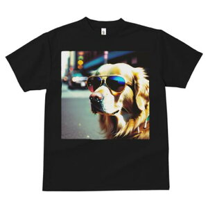 S[fgo[ TVc  j[NfUCfB[X t@  t vg JWA 킢 lԗp Mtg I TOX S[fgo[ X