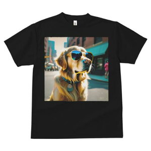 S[fgo[ TVc  j[NfUCfB[X t@  t vg JWA 킢 lԗp Mtg I TOX S[fgo[ X