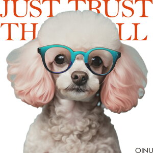 Kl gCv[h NbVJo[ 45×45cm Aj}   NbV{̕t `