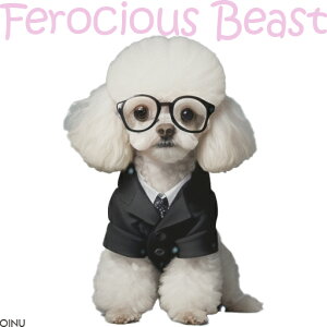 X[c gCv[h ዾ NbVJo[ 45×45cm Aj}   NbV{̕t `