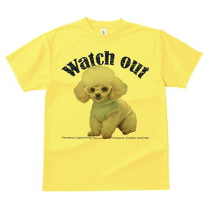 gCv[h TVc  j[NfUCY LbY t@  t vg JWA 킢 lԗp Mtg I Kl gCv[h Watch Out