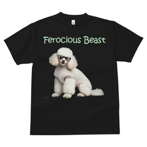 v[h TVc  j[NfUCY LbY t@  t vg JWA 킢 lԗp Mtg I Kl v[h 