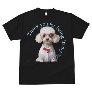 gCv[h TVc  j[NfUCfB[X t@  t vg JWA 킢 lԗp Mtg I Kl gCv[h lN^C Vc