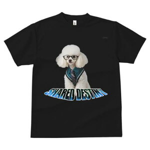 v[h TVc  j[NfUCfB[X t@  t vg JWA 킢 lԗp Mtg I Kl v[h Vc lN^C