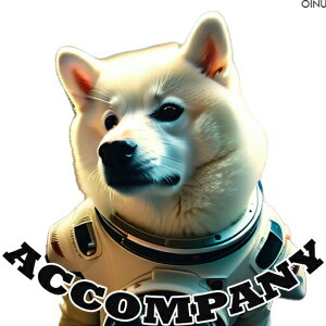 F Č NbVJo[ 45×45cm Aj}   NbV{̕t `