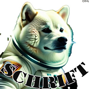 F Č Xy[X NbVJo[ 45×45cm Aj}   NbV{̕t `