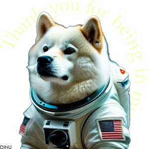 F Č AJ NbVJo[ 45×45cm Aj}   NbV{̕t `