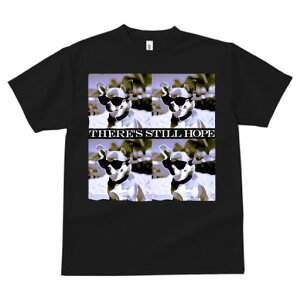 ` TVc  j[NfUCfB[X t@  t vg lJWA 킢 lԗp Mtg I ҏ΍ TOX `